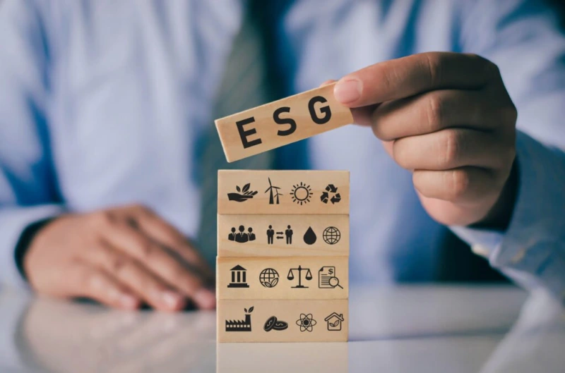 Como a ESG está presente na VS: Um compromisso com o Futuro