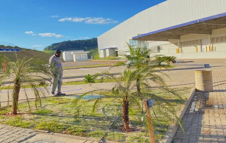 Continuação dos serviços de paisagismo